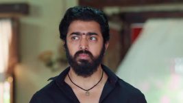 Maa Annaya (Zee Telugu) S01 E246 22nd December 2024