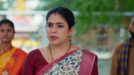 Maa Annaya (Zee Telugu) S01 E253 30th December 2024
