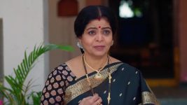 Maa Annaya (Zee Telugu) S01 E254 31st December 2024