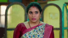 Maa Annaya (Zee Telugu) S01 E255 1st January 2025
