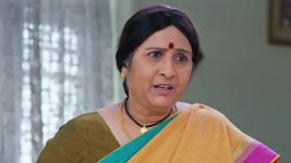 Maamagaru (Star Maa) S01 E396 Pandu, Lakshmi on a Mission