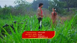Maguva O Maguva S01 E252 Nostalgia Hits Sindhura, Chanti