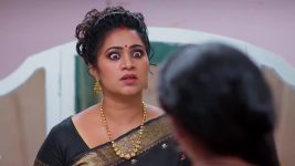 Meghasandesam (Zee Telugu) S01 E163 4th December 2024