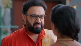 Meghasandesam (Zee Telugu) S01 E167 8th December 2024