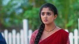 Meghasandesam (Zee Telugu) S01 E172 13th December 2024