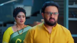 Meghasandesam (Zee Telugu) S01 E176 17th December 2024