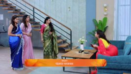 Navri Mile Hitlerla S01 E246 11th December 2024
