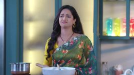 Navri Mile Hitlerla S01 E264 29th December 2024