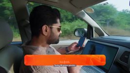 Nindu Noorella Saavasam S01 E426 8th December 2024