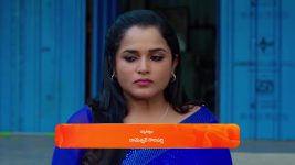 Nindu Noorella Saavasam S01 E446 28th December 2024