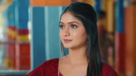 Ninnu Kori (Star Maa) S01 E158 Shalini Shares Her Conspiracy