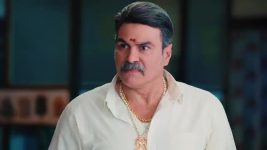 Ninnu Kori (Star Maa) S01 E177 Jagadeswari Rebukes Kamakshi