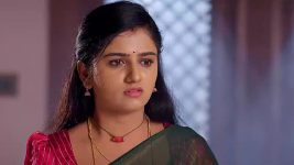 Paape Maa Jeevana Jyothi S01 E1128 Gowri Prasad Advises Harsha