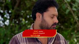 Paape Maa Jeevana Jyothi S01 E1130 Kutti in Distress