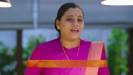 Paaru (Zee Marathi) S01 E294 16th December 2024