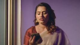 Paaru (Zee Marathi) S01 E303 25th December 2024