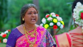 Padamati Sandhyaragam S01 E712 14th December 2024