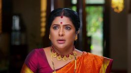 Padamati Sandhyaragam S01 E713 15th December 2024