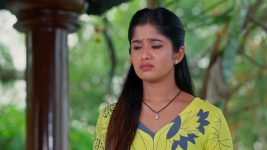 Padamati Sandhyaragam S01 E716 18th December 2024