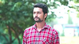 Pinga Ga Pori Pinga S01 E17 New Episode