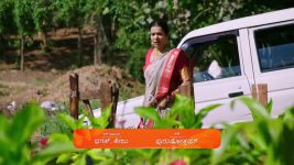 Puttakkana Makkalu S01 E852 1st January 2025