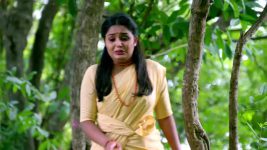 Renuka Yellamma (Star Maa) S01 E520 Mangaladevi Implores Manjamma