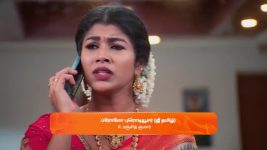 Sandhya Raagam (Tamil) S01 E393 7th December 2024