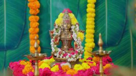 Seethe Ramudi Katnam S01 E381 19th December 2024