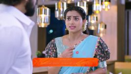 Shravani Subramanya S01 E190 9th December 2024