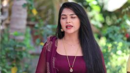 Shreegowri S01 E238 Mangalamma brings Gowri home