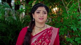 Trinayani (Kannada) S01 E1163 17th December 2024