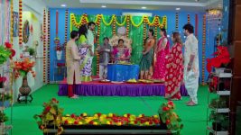 Trinayani (Telugu) S01 E1430 17th December 2024
