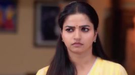 Anna (Tamil) S01 E550 18th December 2024