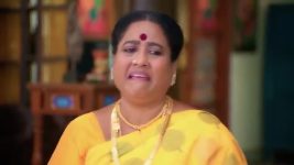 Anna (Tamil) S01 E551 19th December 2024
