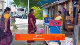 Anna (Tamil) S01 E558 27th December 2024