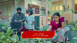 Chinni (Star Maa) S01 E146 Sarala's Plan Misfires