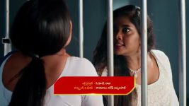Chinni (Star Maa) S01 E150 Chinni's Plea to Satyam