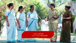 Chinni (Star Maa) S01 E153 Nagavalli's Evil Plot