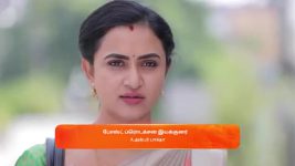Idhayam S01 E516 21st December 2024