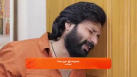 Idhayam S01 E517 23rd December 2024
