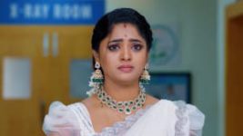 Janaki Ramayya Gari Manavaralu S01 E206 31st December 2024