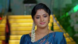 Janaki Ramayya Gari Manavaralu S01 E207 1st January 2025
