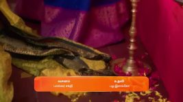 Karthigai Deepam S01 E685 10th December 2024