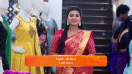 Karthigai Deepam S01 E691 17th December 2024