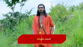 Renuka Yellamma (Star Maa) S01 E529 Parvathi's Irrational Fear