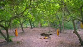 Shrimad Ramayan S01 E264 Van Devi Ka Satya