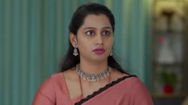 Yeto Vellipoyindhi Manasu S01 E276 Harika's Advice to Nandhini