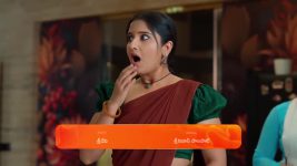 Chamanthi (Zee Telugu) S01 E10 10th January 2025