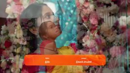 Chamanthi (Zee Telugu) S01 E15 17th January 2025