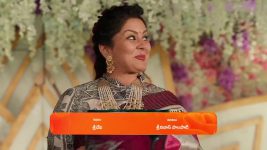 Chamanthi (Zee Telugu) S01 E20 23rd January 2025